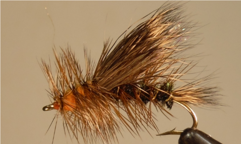 Stimulator - Peacock - Bait Fish (800x800), Png Download