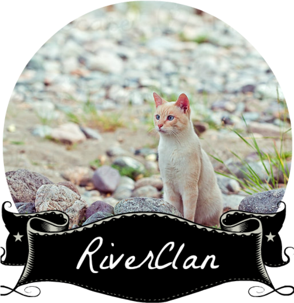 Rcb - 3drose Lsp 212211 2 Dad - Est. 2014 - Double Toggle (600x990), Png Download