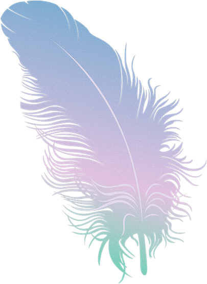 Cosas Para Photoscape - 羽毛 卡通 (800x600), Png Download