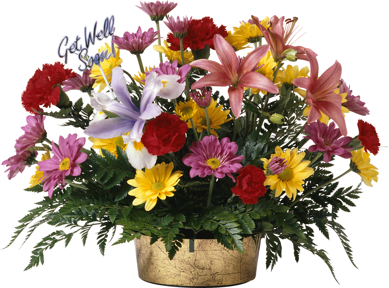 Gifs Y Fondos Pazenlatormenta - Новые Поздравления На Все Случаи Жизни (1600x1185), Png Download