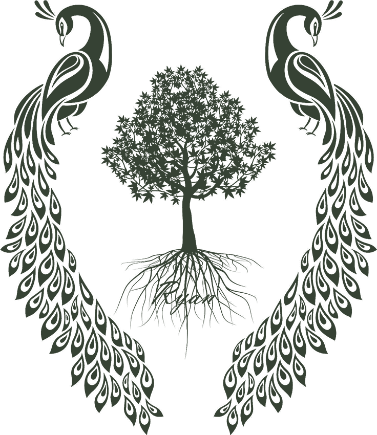 Join Us For The 3rd Annual Peacock Invitational On - Transparent Tree With Roots (736x850), Png Download