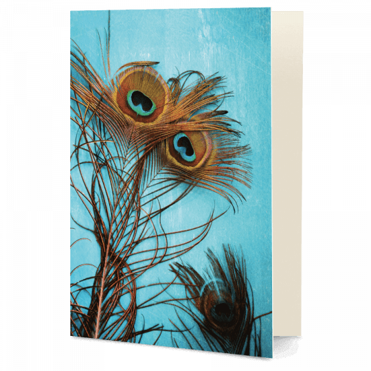 Society6 3 Peacock Feathers Cool Throw Blanket - 51" (540x540), Png Download