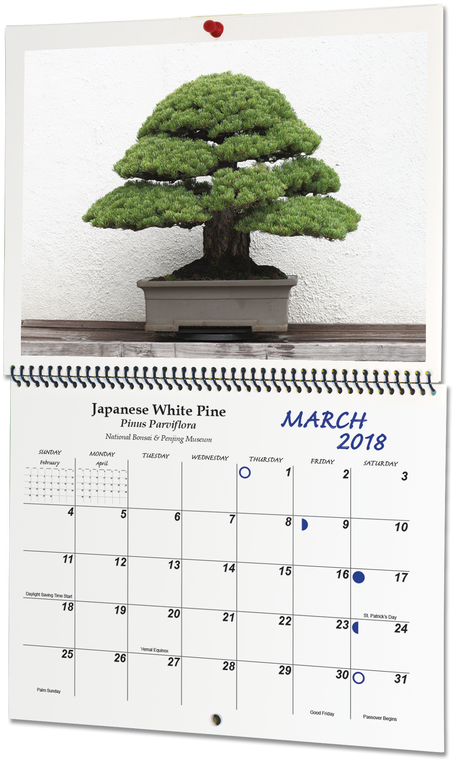 Picture - Korsch Memo-kalender 2018 Mit Datumsschieber (486x800), Png Download