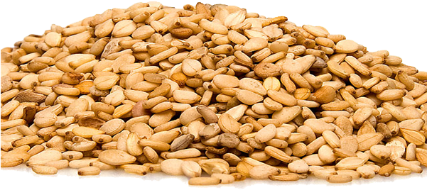 Sesame Seeds Free Download Png - Sesame Seeds (600x300), Png Download