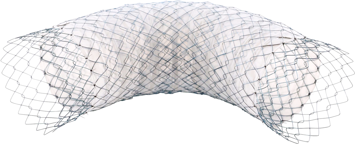 A - Fish (1280x720), Png Download