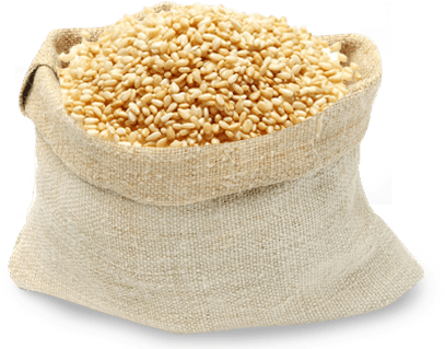 Natural Sesame Seeds (451x351), Png Download