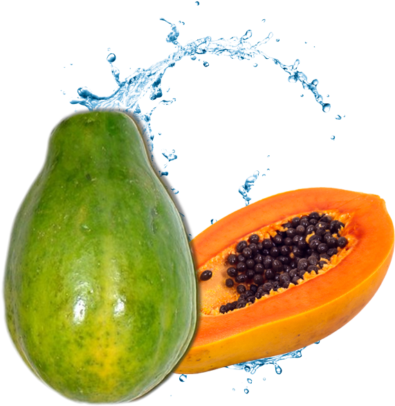 Raddisun Fruit Example Ultimate Microfiber Car Wash Sponge Premium Chenille Full Size Png Download Seekpng