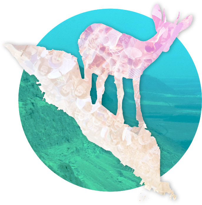 Hipster-deer3 - Reindeer (769x768), Png Download