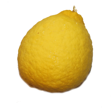 Fruit (358x406), Png Download