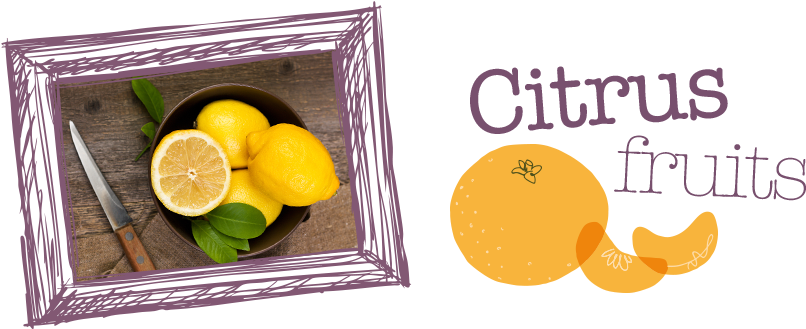 Citrus Fruit - Delicious Magazine (940x340), Png Download