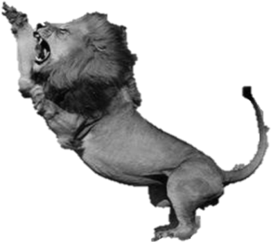 Fighting Lion Turned Into Stone - Lion (445x400), Png Download