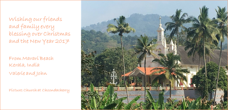 Akasha, The Universal Soul, And The Birth Of Christ - Attalea Speciosa (746x361), Png Download