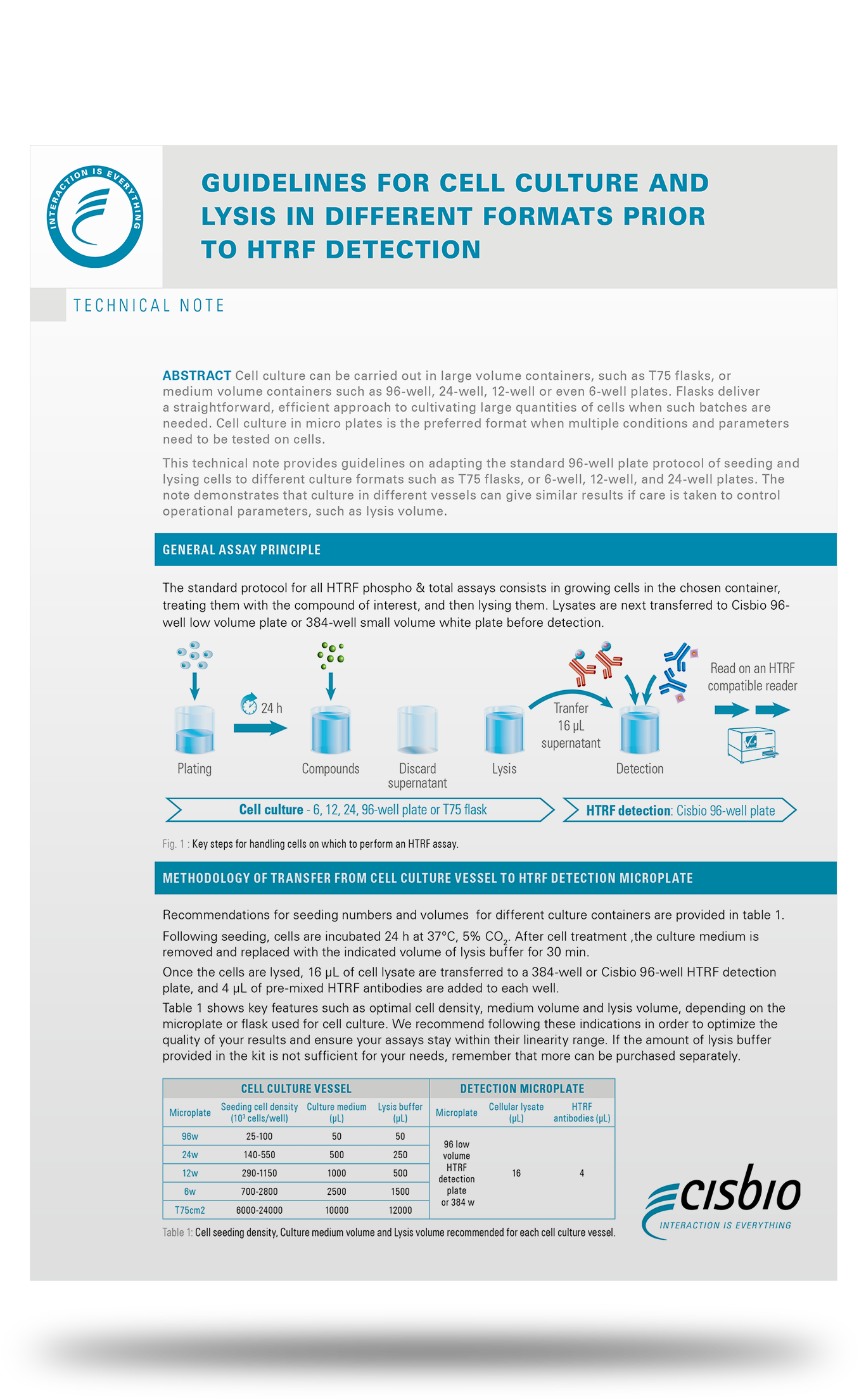 Adapt Your Cell Culture Plastic Or Glassware To Your - Cell (2027x2250), Png Download