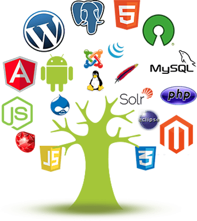 View Curriculum - Wordpress The Ultimate Beginners Guide By Mike Stevenson (387x434), Png Download