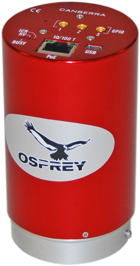 Osprey - Feature Phone (485x920), Png Download