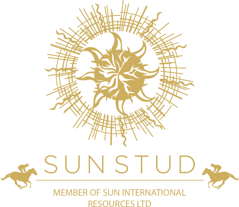 Sun Stud (779x683), Png Download