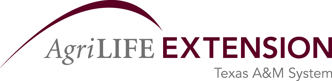 Agrilife Extension System 2color - Texas Agrilife Extension (1091x267), Png Download
