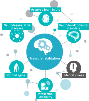Infografia De Discapacidad Intelectual (325x525), Png Download