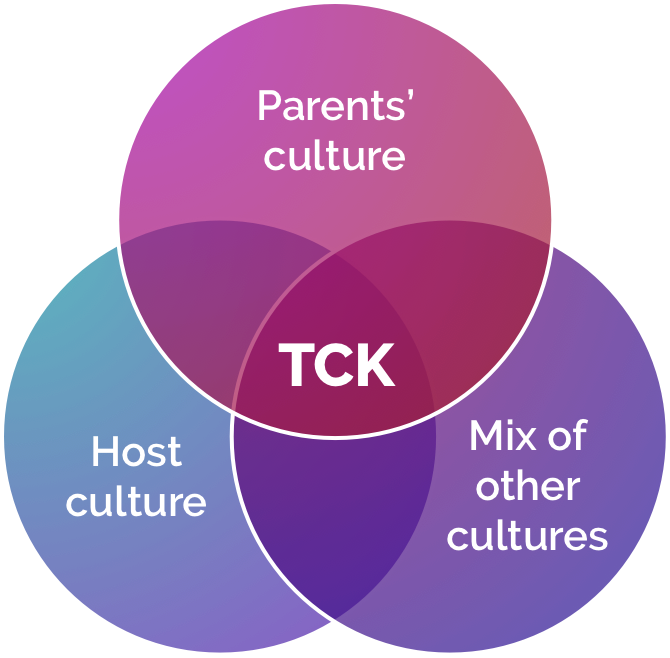 Venn Diagram - Third Culture Kid (670x658), Png Download
