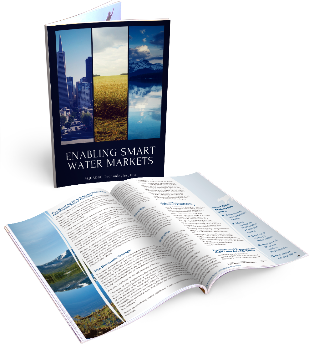 Building Smarter Water Markets - My Dreams (1000x1128), Png Download