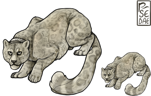 Snow Leopard - Domestic Short-haired Cat (600x400), Png Download