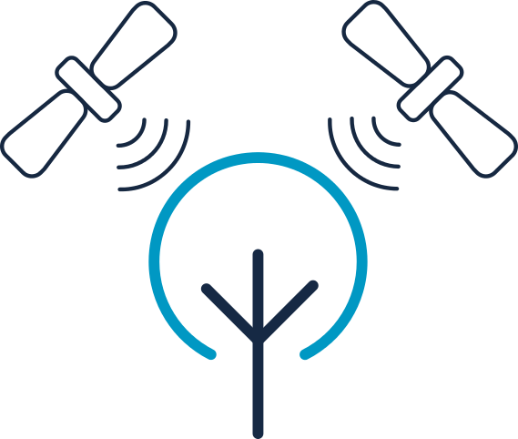 Forest Monitoring Services Include Disturbance Monitoring (569x482), Png Download
