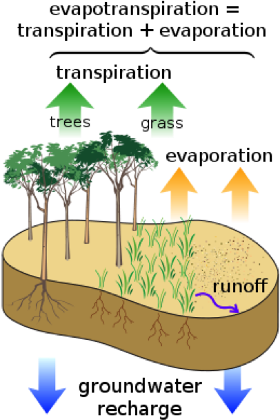 Small Amounts Of Deforestation Today May Lead To The - Measurements To Recharge Groundwater (407x618), Png Download