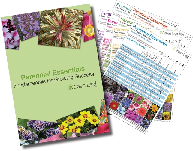 Perennial Essentials Program - United States Of America (700x537), Png Download
