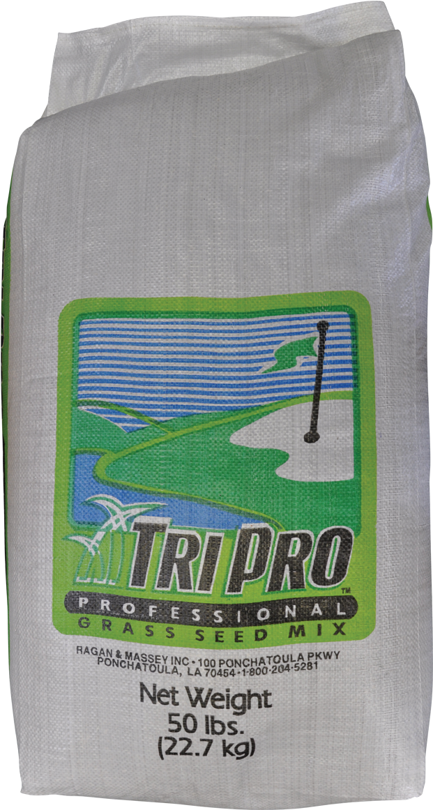 Tp-perennial - Shark (1800x1200), Png Download