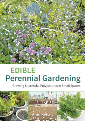 Edible Perennial Gardening By Anni Kelsey (400x400), Png Download