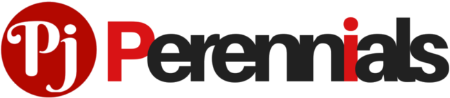 About Perennial Publications Llp - Research (800x200), Png Download