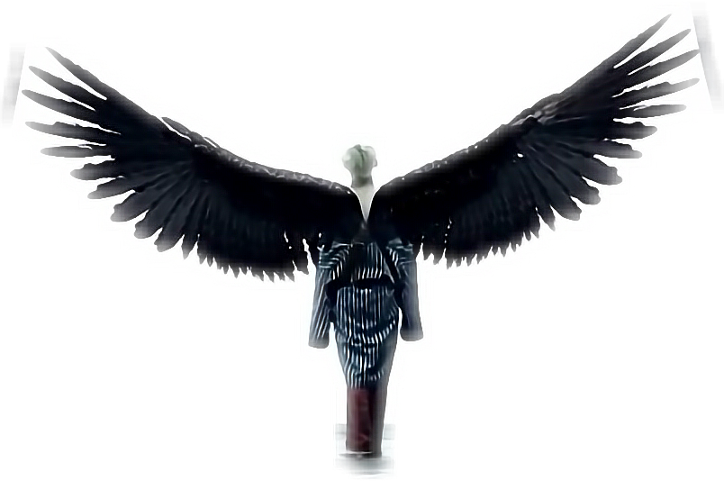 Discover The Coolest - Bts V The Fallen Angel (804x534), Png Download