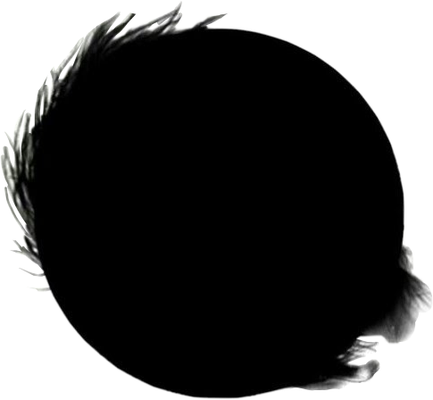 Bts Wings Begin Jungkook Bloodsweatandtears Bloodsweat& - Begin (485x448), Png Download