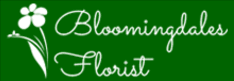 Moderner Weihnachtsbaum, Weihnachten Geschenkanhänger (800x800), Png Download