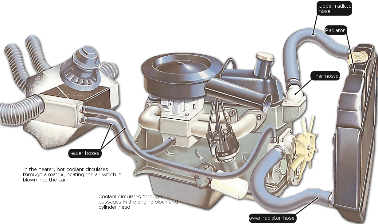 Maruti 800 Cooling System (1230x790), Png Download