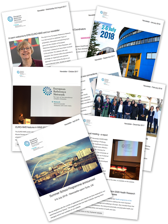 Newsletter - Adidas Originals Nmd (576x750), Png Download