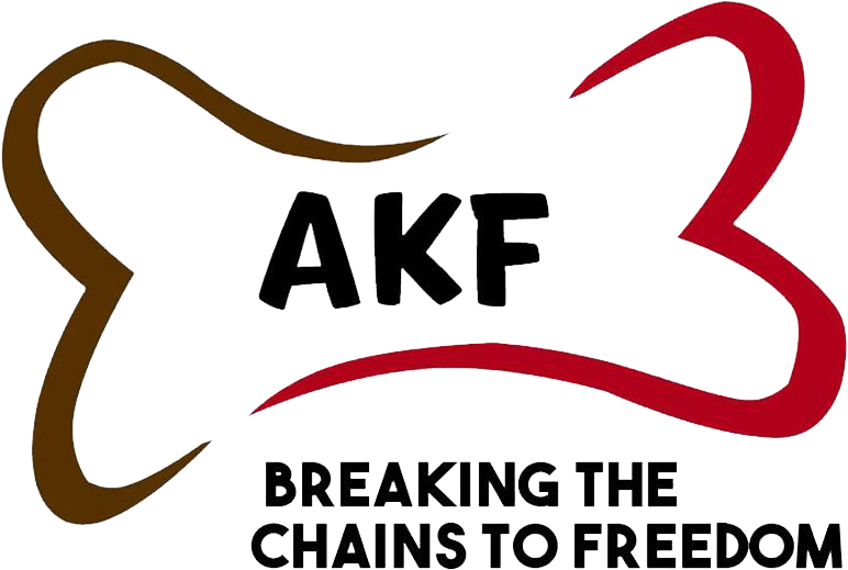 Animal Kingdom Foundation Inc - Animal Kingdom Foundation (824x568), Png Download