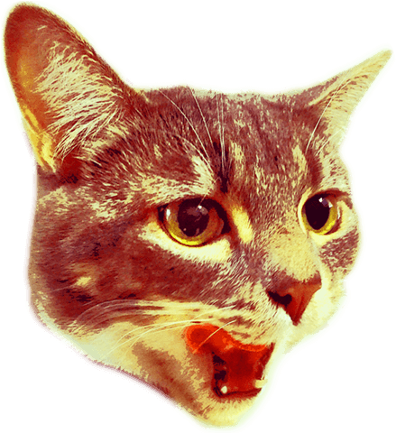 Are You 21 Or Older - Cat Shooting Lasers Png (780x479), Png Download