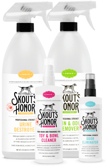 Dog Essentials Kit - Skout's Honor Urine Destroyer Size: 64 Fl Oz (447x600), Png Download