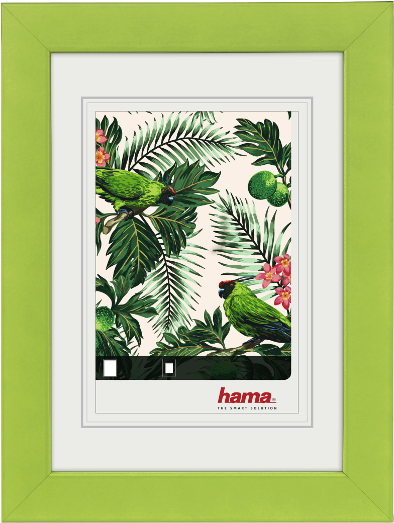 "tropical" Wooden Frame, Green, 10 X 15 Cm - Hama Holzrahmen (1100x1100), Png Download