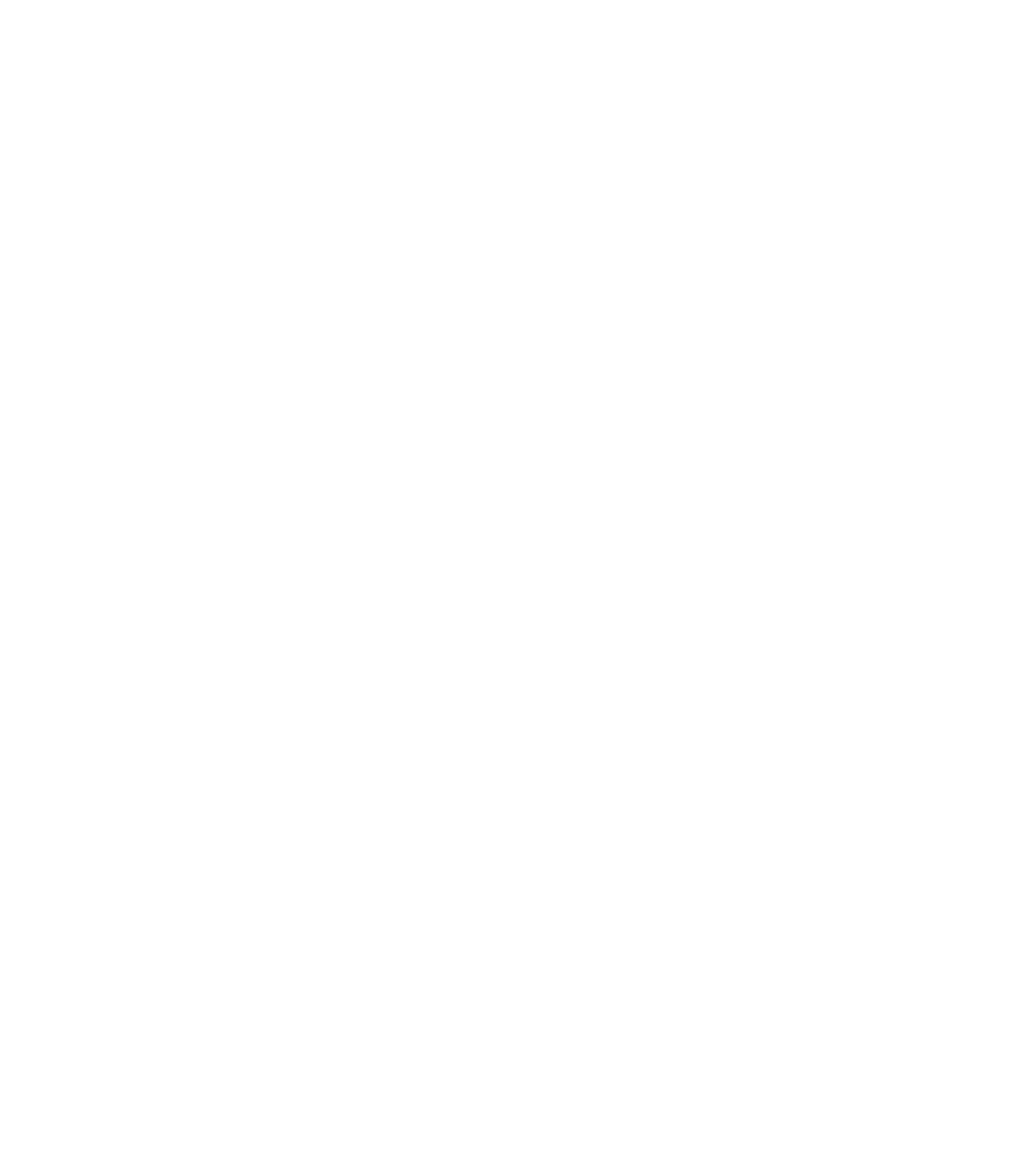 The Bird (1136x1303), Png Download