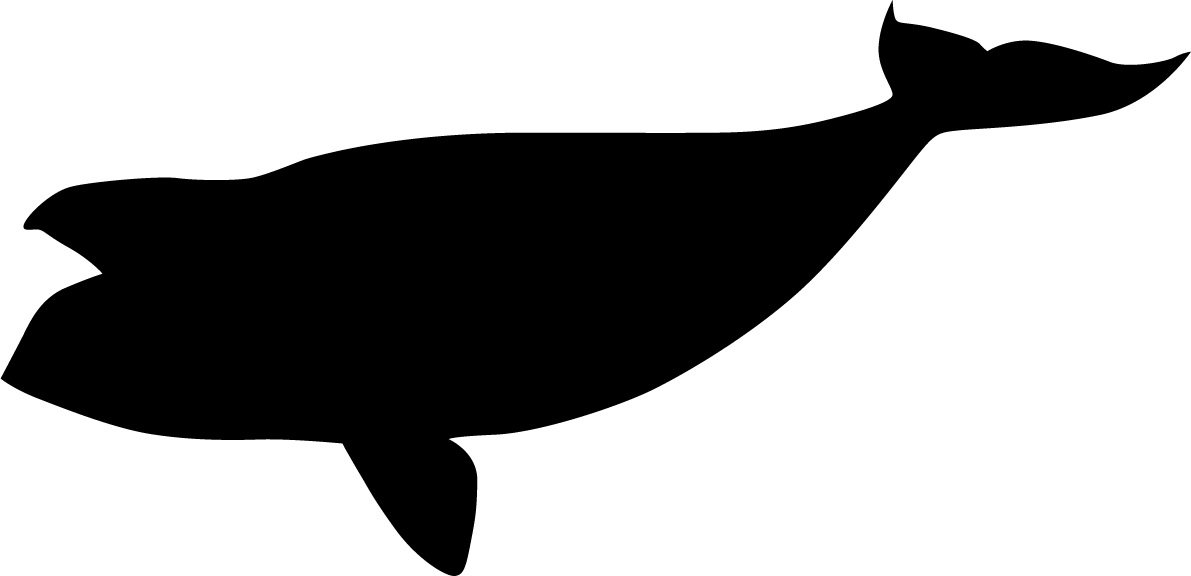North Pacific Right Whale Black Silhouette - Whale (1191x576), Png Download