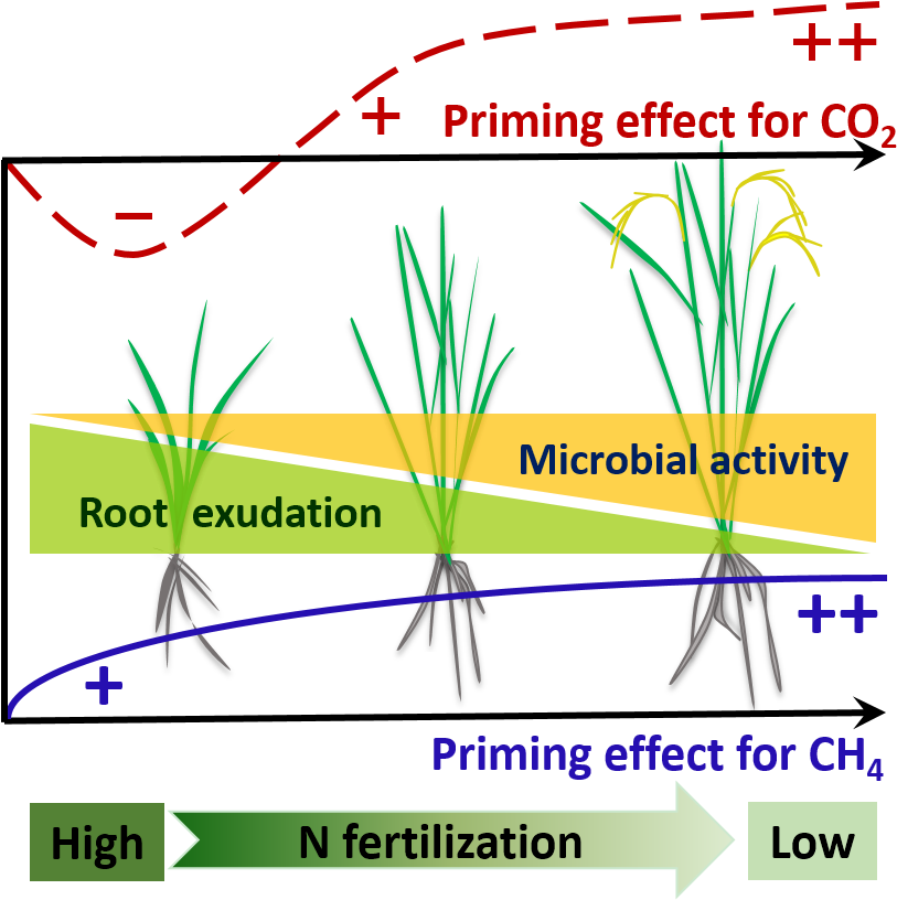 Co2 And Ch4 Emission From Paddy Field Play A Crucial - Cycling Listening To Daft Punk (841x847), Png Download