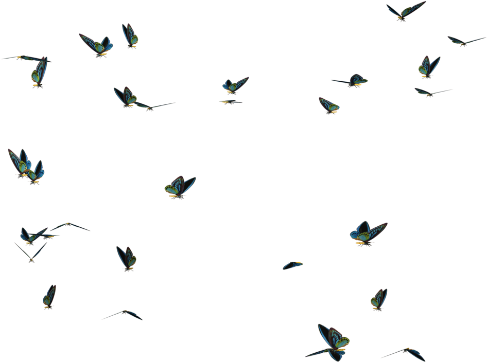 Flying Butterfly Transparent Images - Butterfly Swarm Png (1024x768), Png Download