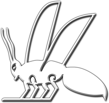 06 Feb 2009 - Ant (442x417), Png Download