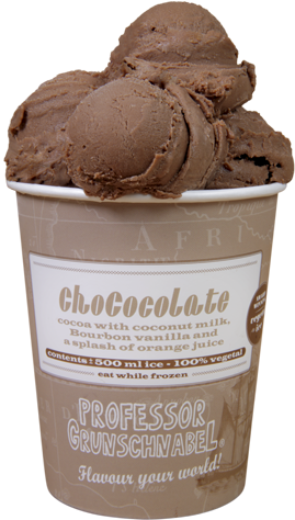 252a5486 Chococo - Prof Grunschnabel Chococolate Van Albert Heijn (321x506), Png Download