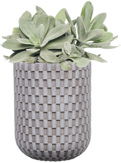 New Design - Flowerpot (400x561), Png Download
