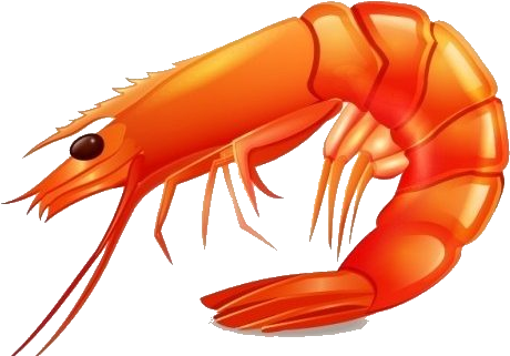 Rocky Point Sea Food Market - Imagem De Camarão (626x331), Png Download