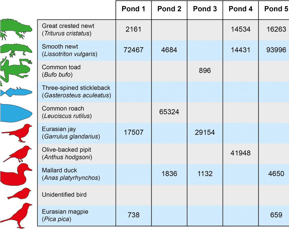 Mitigation Pond Otu Table 01 No Bg - Number (1000x800), Png Download