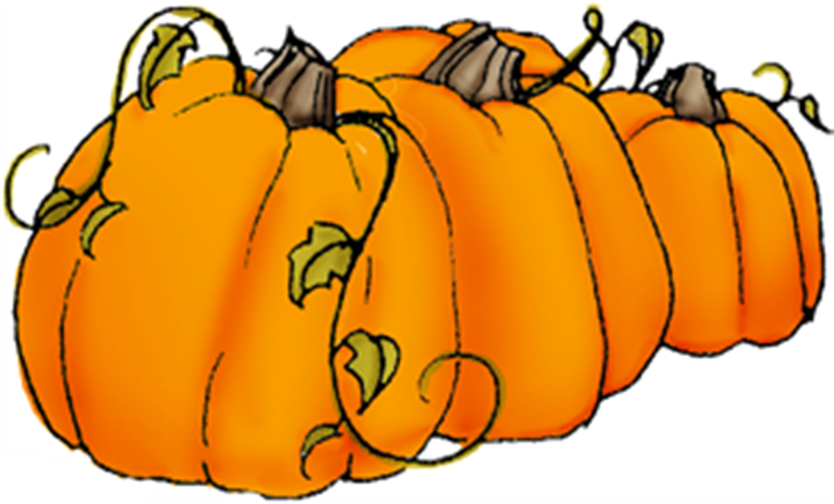 Pumpkin Clipart Vine - Transparent Background Pumpkins Clip Art (1200x1200), Png Download